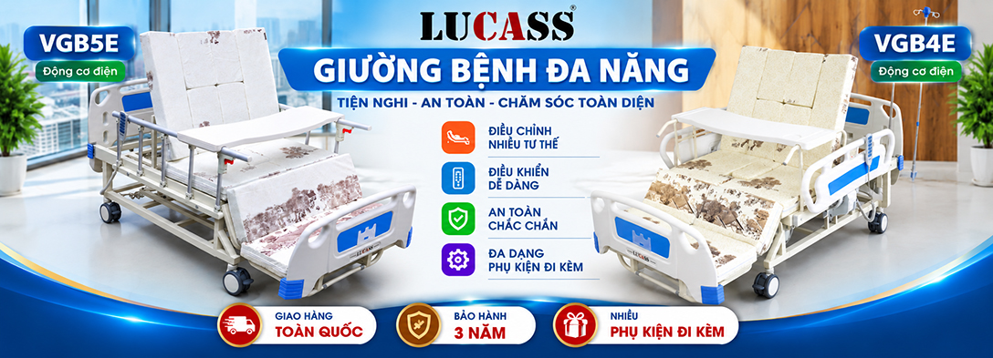 Giường Bệnh Nhân Giường Y Tế Cho Người Già, Xe Lăn Tay Xe Lăn Điện LUCASS