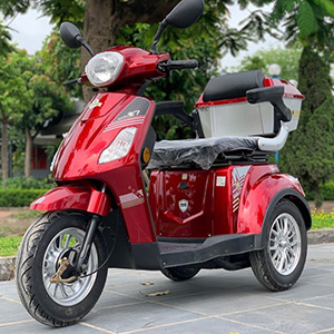  Xe Điện 3 Bánh Goda Pro