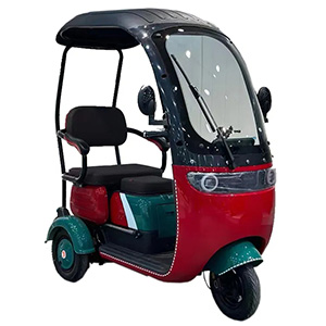 Xe Điện Ba Bánh Có Mái Che X302
