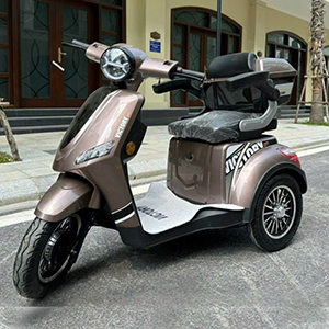 Xe Điện 3 Bánh Victory City