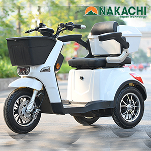 Xe Điện 3 Bánh LIXI 2
