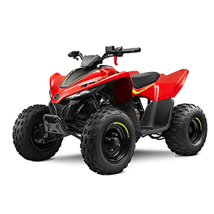 Xe Địa Hình ATV CFMOTO CFORCE 110