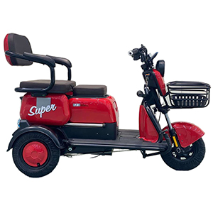 Xe Điện 3 Bánh Cho Người Già X-302